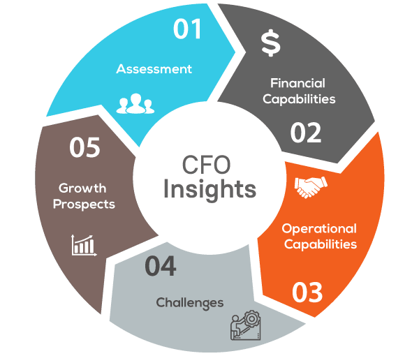 How Can a Virtual CFO Infograph